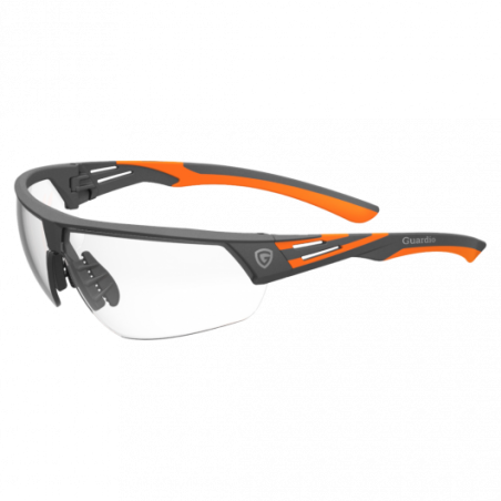 Schutzbrille ARGOS Clear