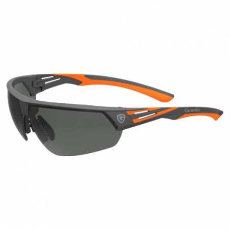 copy of Schutzbrille ARGOS Clear